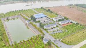 Nha-may-nuoc-sach-bach-dang