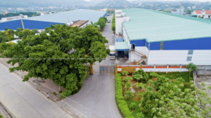 nha-may-soi-bao-long