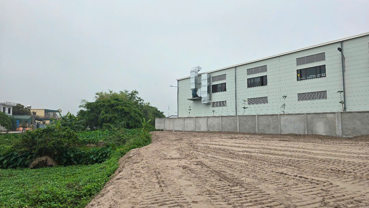Khu đất dự án nhà xưởng sản xuất đông dược tại Vũ Thư Thái Bình sau khi san lấp mặt bằng