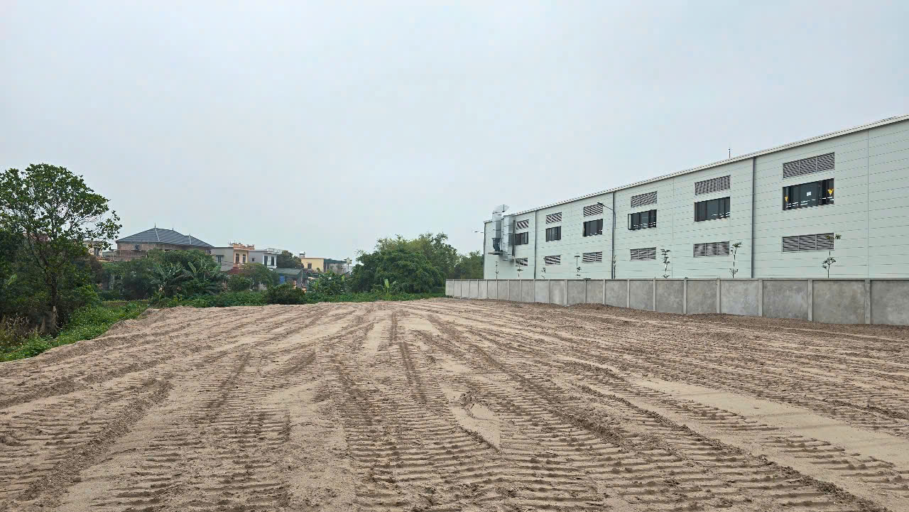 Khu đất dự án nhà xưởng sản xuất đông dược tại Vũ Thư Thái Bình sau khi san lấp mặt bằng